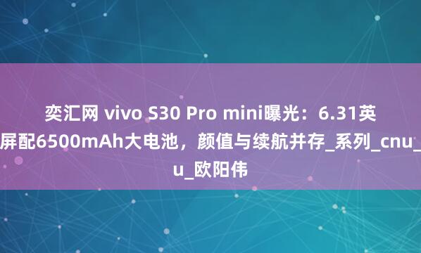 奕汇网 vivo S30 Pro mini曝光：6.31英寸小直屏配6500mAh大电池，颜值与续航并存_系列_cnu_欧阳伟