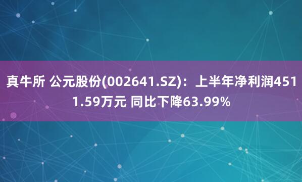 真牛所 公元股份(002641.SZ)：上半年净利润4511.59万元 同比下降63.99%