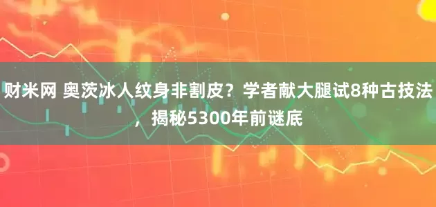 财米网 奥茨冰人纹身非割皮？学者献大腿试8种古技法，揭秘5300年前谜底